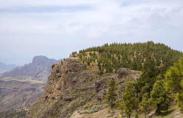 central Gran Canaria in April