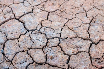 Cracked earth texture background