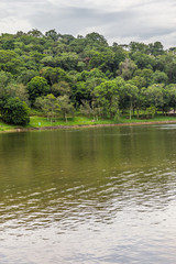 Fototapeta na wymiar Trees in Garibaldi lake in Encantado
