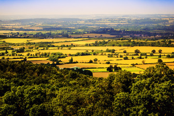 lush green typical generic beautiful english cotswold landscape