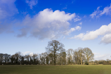 typical beautiful lush green english cotswold landscape 