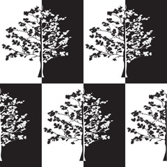 Blossoming tree on a black and white background