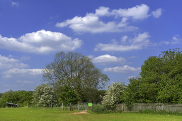 Fototapeta na wymiar typical beautiful lush green english cotswold landscape 