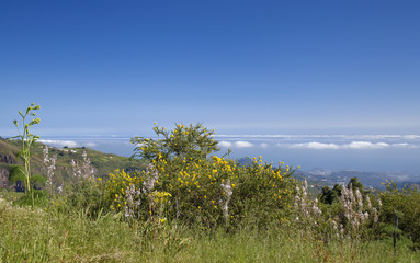 Central Gran Canaria in April