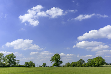 typical beautiful lush green english cotswold landscape 