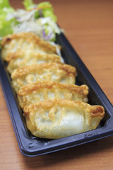 Japan dumplings - Gyoza (selective focus)