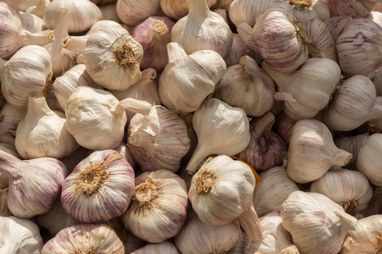 heads of garlic for sale in the outdoor morning market of Ortigia, Siracusa, Sicily