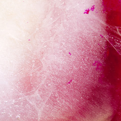 Fototapeta premium color ice abstract