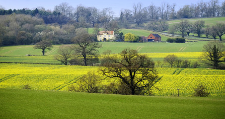 Obraz premium typical beautiful lush green english cotswold landscape 