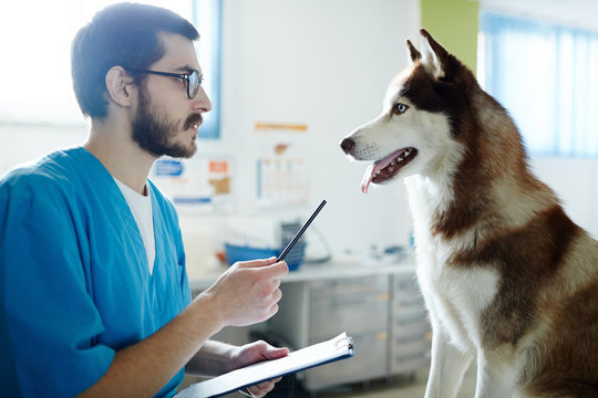 Young veterinarian talking to his patient