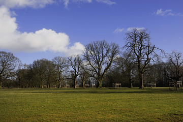 lush green typical beautiful english cotswold landscape