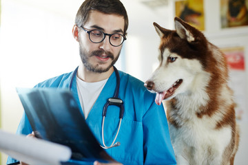 Vet radiologist showing his patient medical x-ray image
