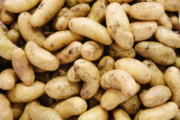 raw young potatoes background
