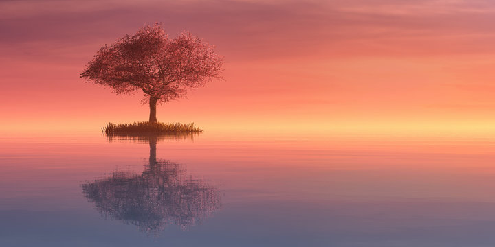 Fototapeta illustration of a tree and sunset