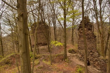 Pysolec castle ruins in the Czech Republic. The castle was built in the 13th century.
