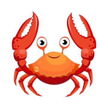 Red crab, sea creature. Colorful cartoon character