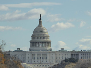 Fototapeta premium Capitol Building Washington