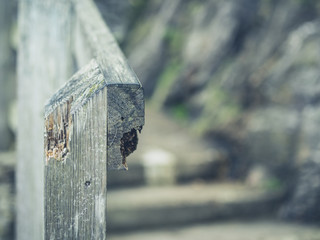 wooden banister in nature