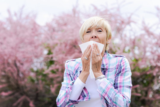 Vibrant Blonde Middle Aged Woman Sneeze - Spring Allergies