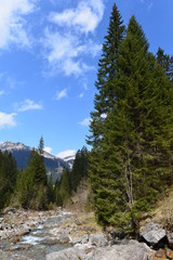 Bärguntbach, Quellbach im Kleinwalsertal