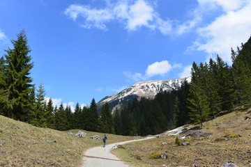 Bärgunttal in den Allgäuer Alpen / Kleinwalsertal