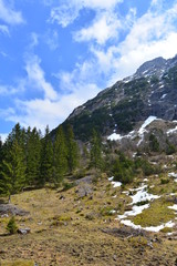 Fototapeta na wymiar Bärgunttal in den Allgäuer Alpen / Kleinwalsertal