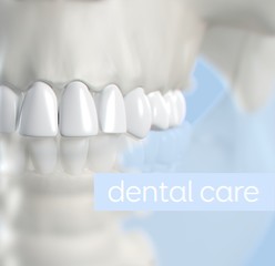 Fototapeta na wymiar Anatomical dental model of human teeth for dentistry, dental care, medical students. 3d illustration