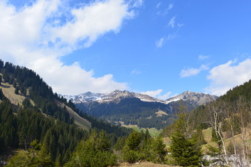 Bärgunttal in den Allgäuer Alpen / Kleinwalsertal