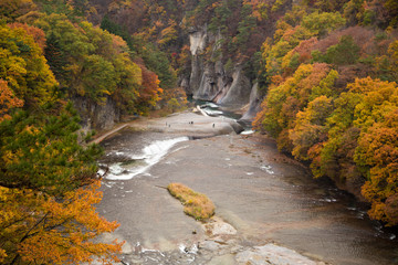 秋の吹割の滝_01