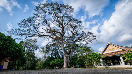 The area of Wat Khu Tao,  Mae Tom, Bang Klam, Songkhla, Thailand