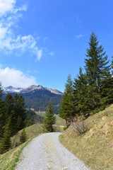 Bärgunttal in den Allgäuer Alpen / Kleinwalsertal
