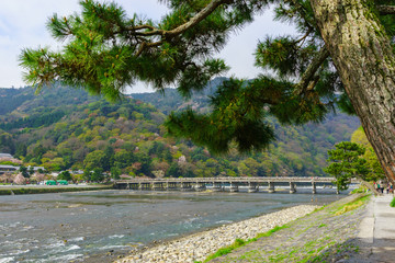 Fototapeta na wymiar Togetsukyo bridge