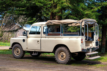 Safari Off Road Vehicle © Anthony