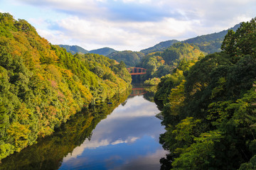色づきの亀山湖