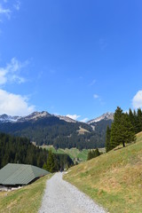 Bärgunttal in den Allgäuer Alpen / Kleinwalsertal
