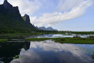 Fototapeta premium The limestone mountain path on the lagoon. Beautiful tourist attractions,Thailand 