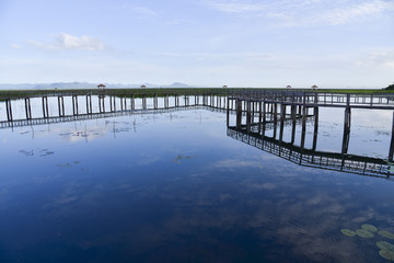 Fototapeta na wymiar Old wooden bridge path on lagoon. Beautiful tourist attractions,Thailand 