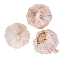 Organic garlic whole and cloves on the white background