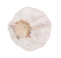 Organic garlic whole and cloves on the white background
