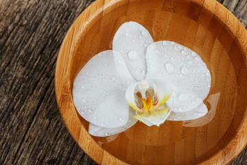 white orchid, phalaenopsis flower in bamboo bowl on wooden background