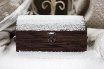 Snowy Treasure