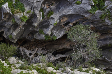 Crazy shaped rock formation at Caminito del Rey