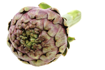 fresh artichoke isolated
