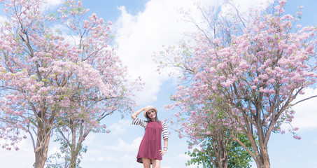 Women Asia tourist hat See pink trumpet tree and sky