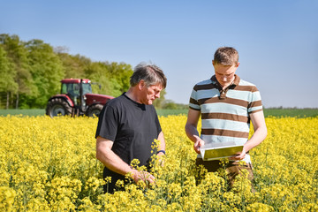 Ackerbau - Ertrag, Landwirt berät sich mit seinem Sohn im Rapsfeld