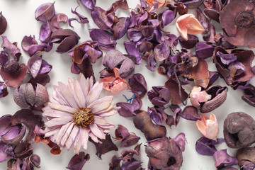 Delicate morning tea table setting