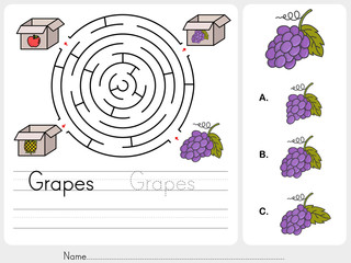 Maze game: Pick grapes box - worksheet for education