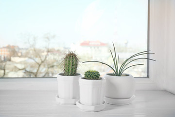 Windowsill with green home plants