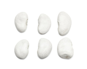 White beans