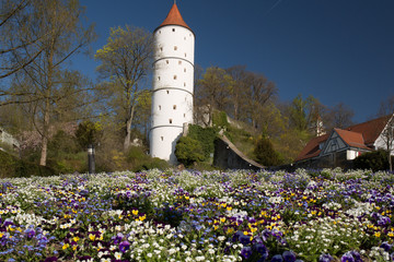 Weißer Turm in Biberach/Riß